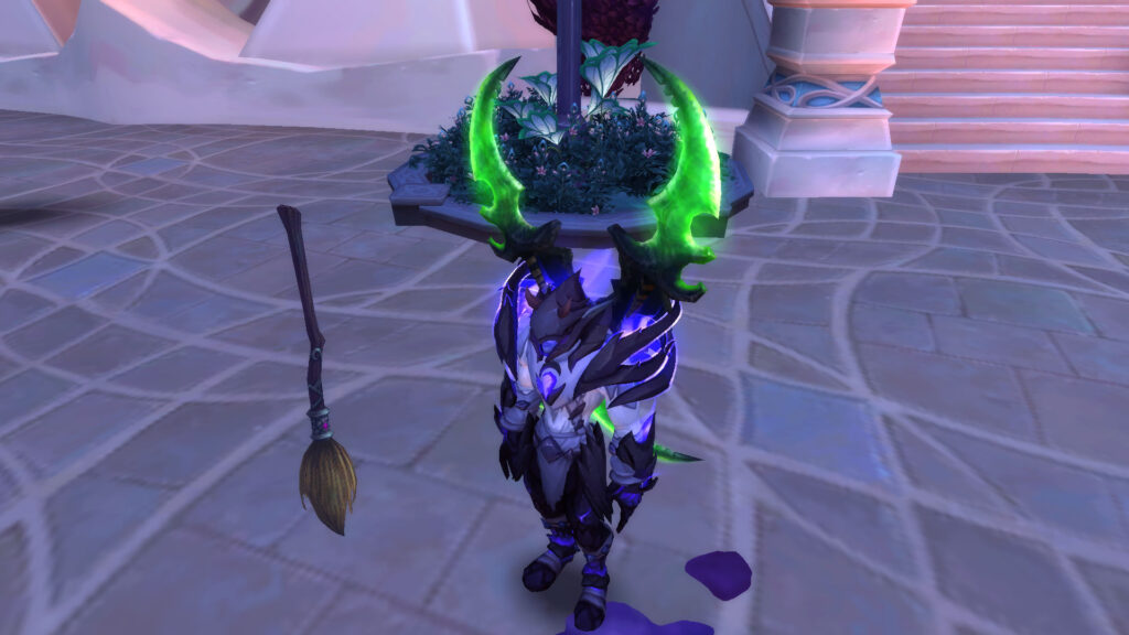 WoW the night elf and the magic broom